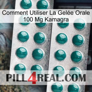 Comment Utiliser La Gelée Orale 100 Mg Kamagra dapoxetine2